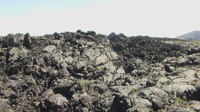 IMGA0811.JPG