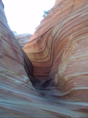PICT0071.JPG