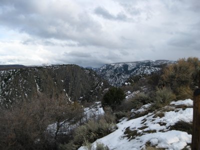 IMG_0179.jpg
