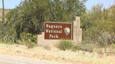 April 12, 2008 - Saguaro National Park