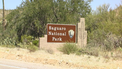 April 12, 2008 - Saguaro National Park