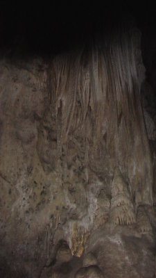 IMGA0012.JPG