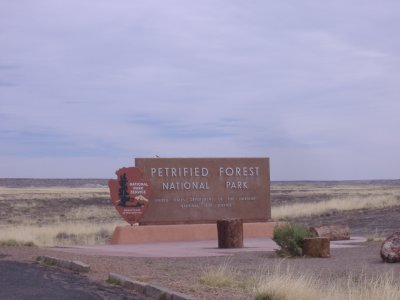April 19, 2008 - Petrified Forest NP and Meteor Crater