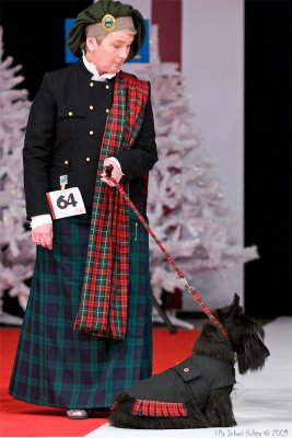 Scotch terrier, the classiest outfit I think.