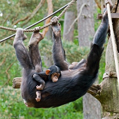 Just hanging around with mum...