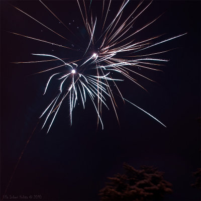 Fireworks New Year 2010