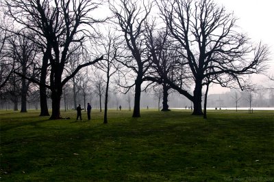 17/3 Kensington Gardens, London on February 6th