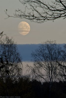 cold moon rising 700.jpg