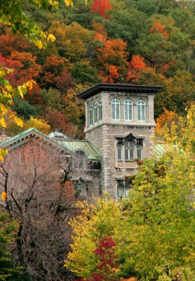 McGill bldg and leaves