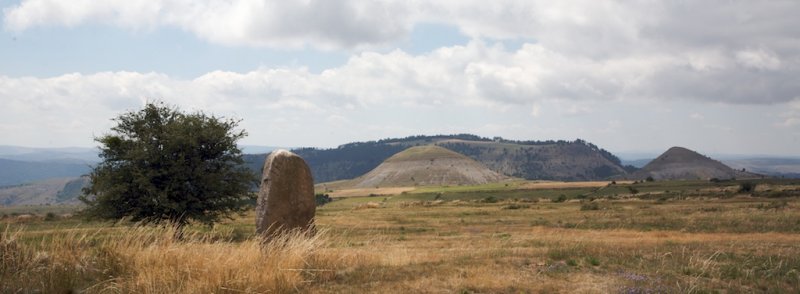 _MG_9742.jpg
