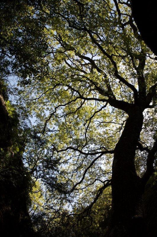 Gorges de Rgalon
