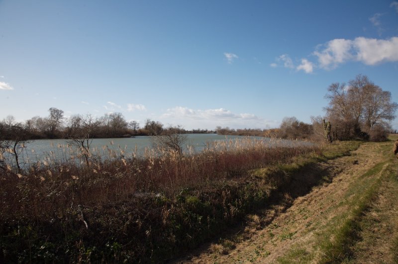 Berges du Petit Rhne