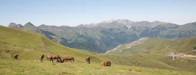 Col du Soulor