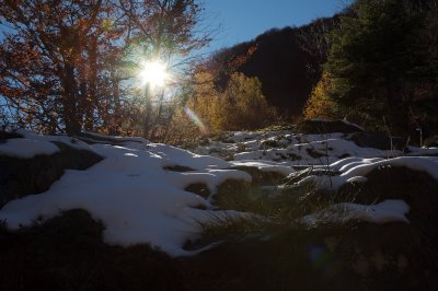 g3/98/810498/3/88541891.M2NxAE5p.jpg