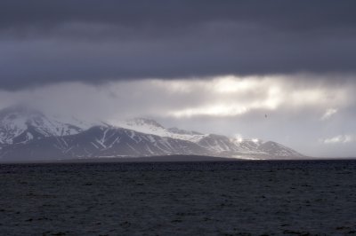 Isfjord