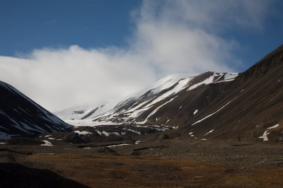 Glacier Longyearbreen