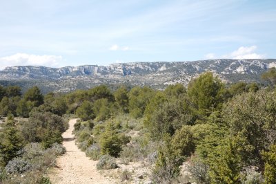 IMG_0655.jpg