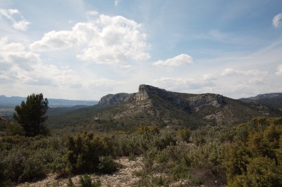 IMG_0664.jpg