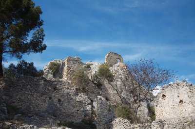 IMG_0677.jpg