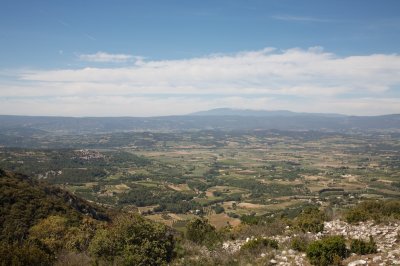 _MG_1487.jpg