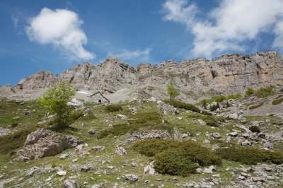 Les Orgues de Camplong