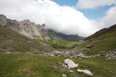 Orgues de Camplong et Bois du Braca d'Azuns