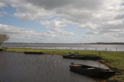 Lac de Grand Lieu