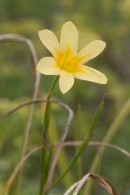 _MG_7174.jpg