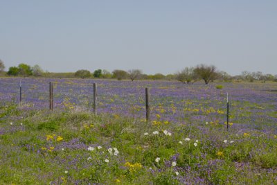 IMG_7186.jpg