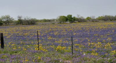 IMG_7192.jpg