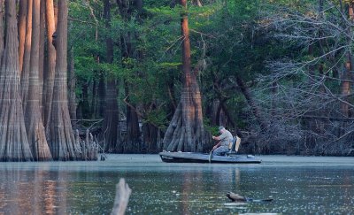 Choupique Fisherman