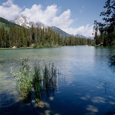 Morning Tetons