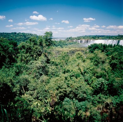 iguacu16.jpg