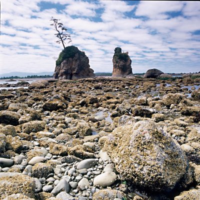 Coast Rocks