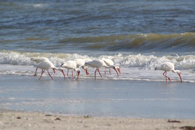 Naples, Florida