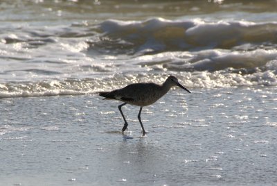 Naples, Florida