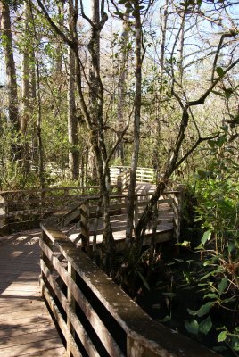 Corkscrew Swamp Sanctuary