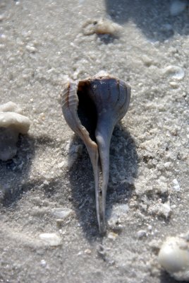 Cape Romano, Fl