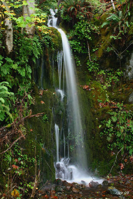 Ephemeral Falls, Agness Rd, Curry Co. OR