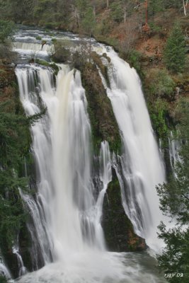 MacArthur-Burney Falls, Shasta Co. CA