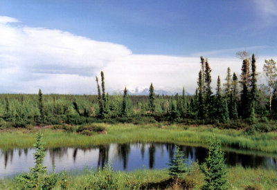 Reflection along Glenn Hwy, Alaska