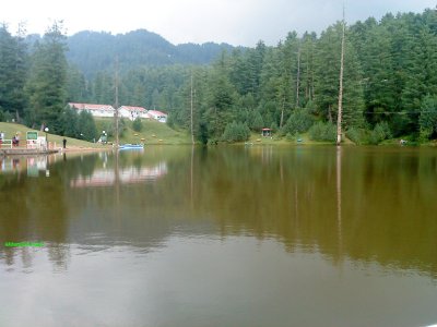 Sona Kashmir