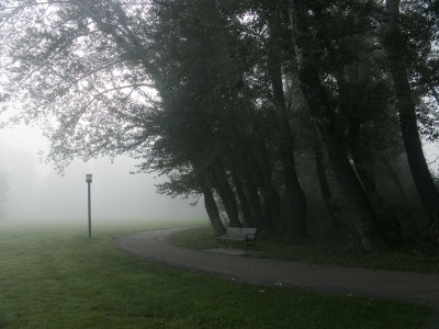 Path to Lake