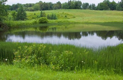 evening-pond-1upload.jpg