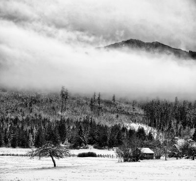 snowy-meadow-black-and-whitejpg-softer.jpg