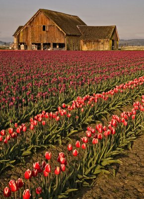 barn-job-1-upload.jpg