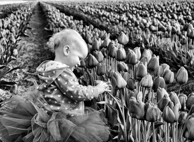 tulip-girl-1-BW-DCE-upload.jpg