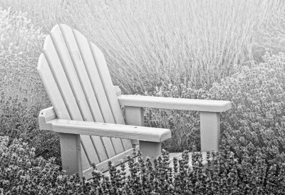 chair-in-the-lavender-1-and-fog-BW-upload.jpg