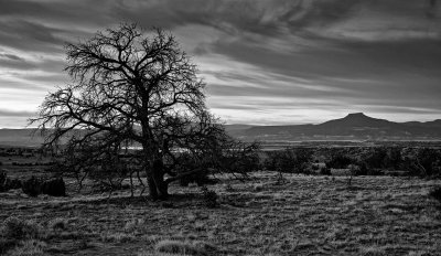 Pedernal-Dawn-BW-upload.jpg