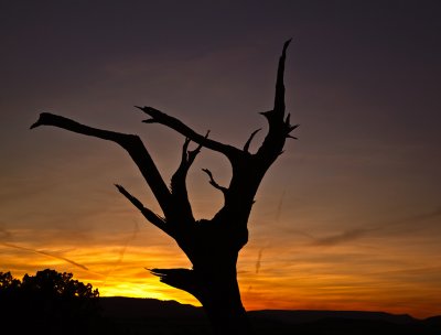 sunset-snag-upload.jpg